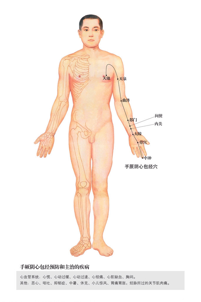 009.手厥阴心包经.jpg