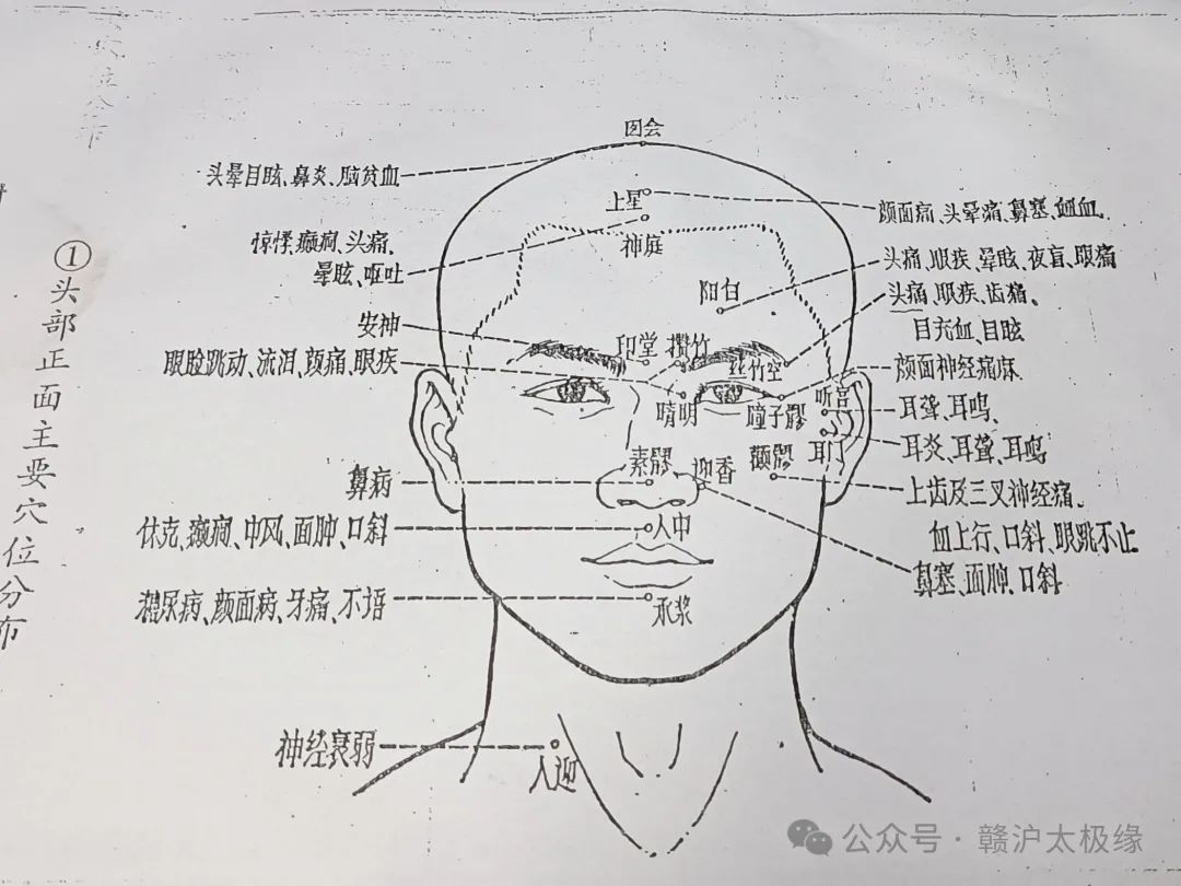01、头部正面主要穴位分布.jpg