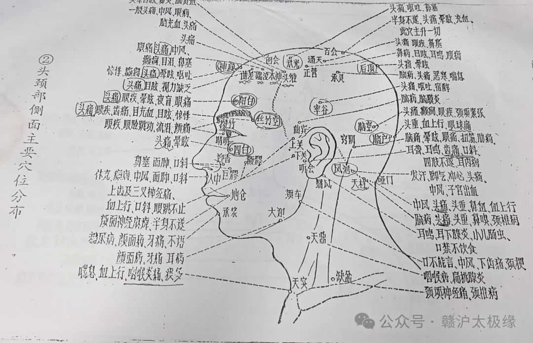 02、头、颈部侧面主要穴位分布.jpg