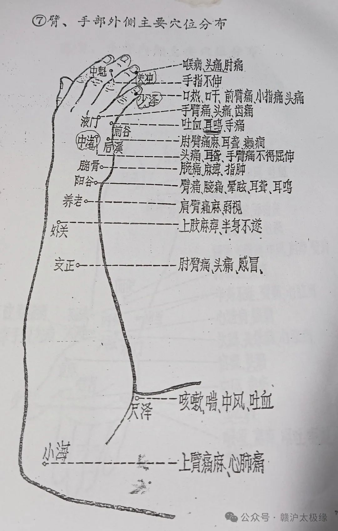 07、臂、手部外侧主要穴位分布.jpg