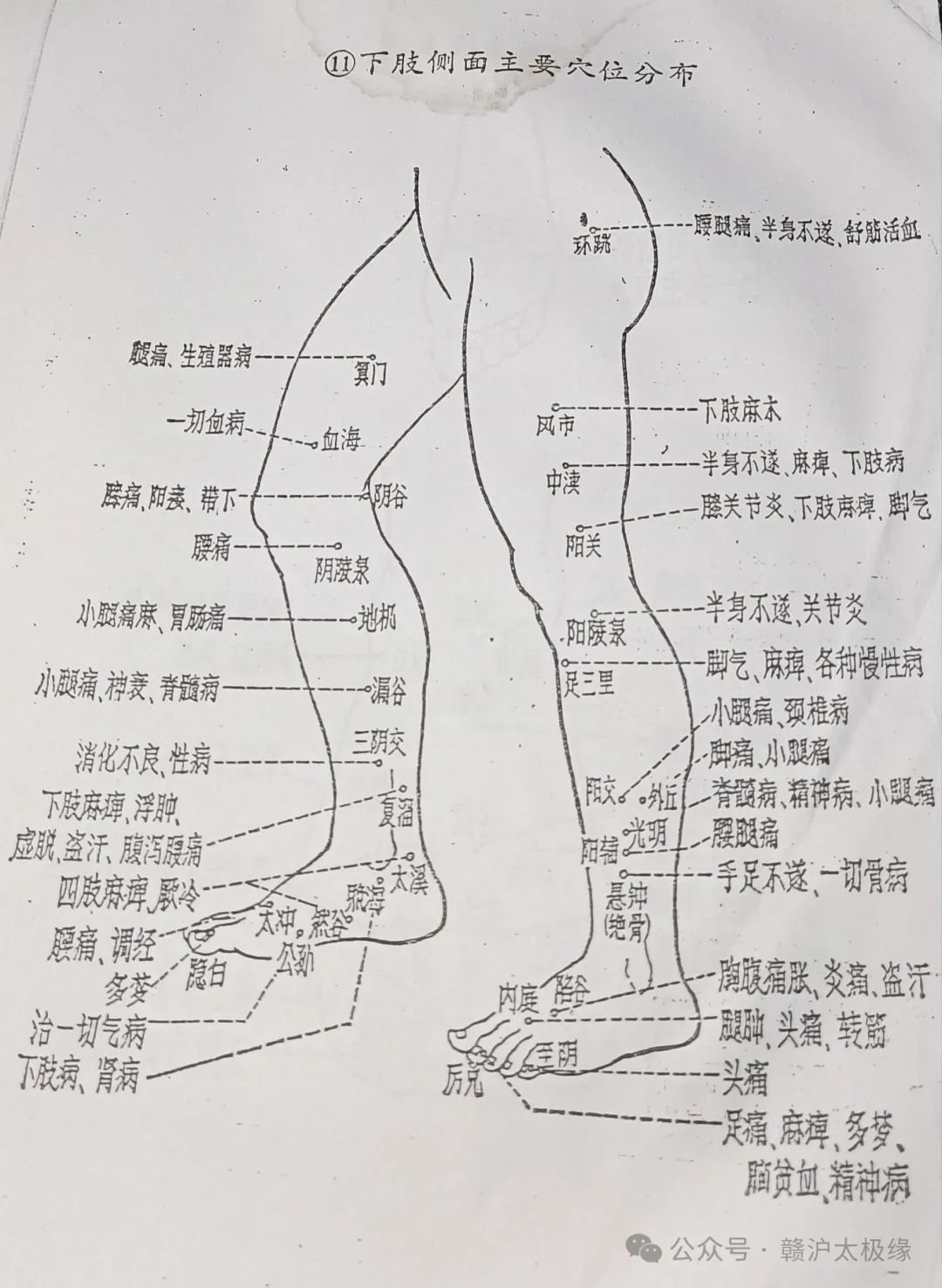 11、下肢侧面主要穴位分布.jpg