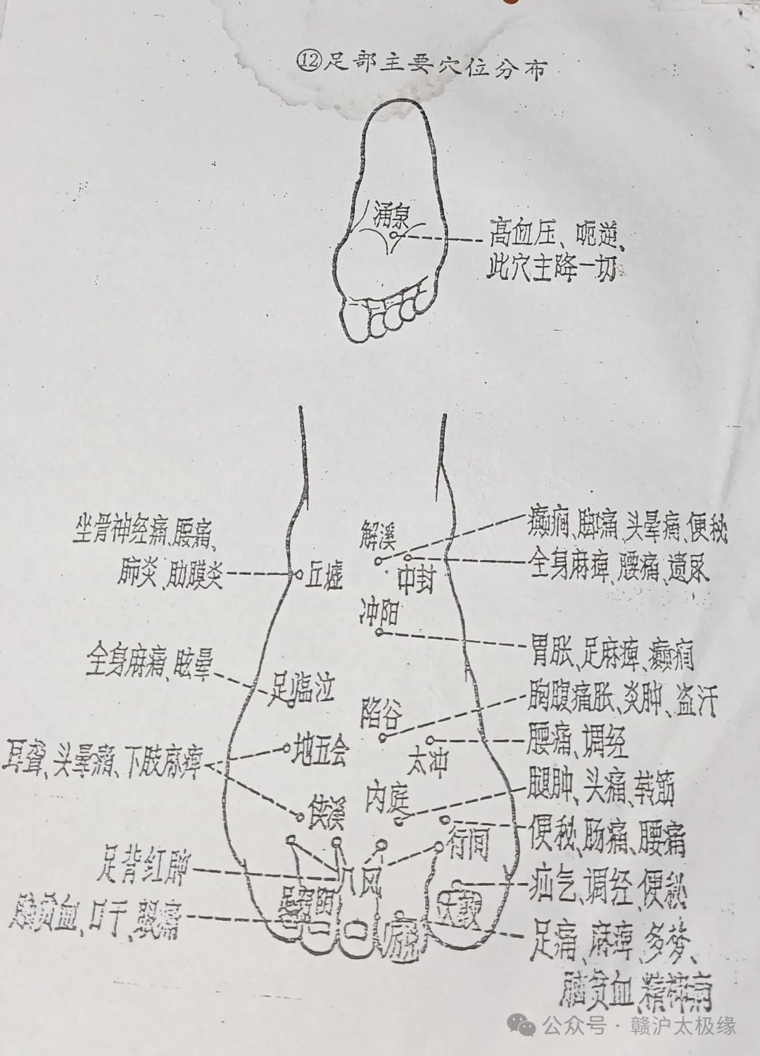 12、足部主要穴位分布.jpg