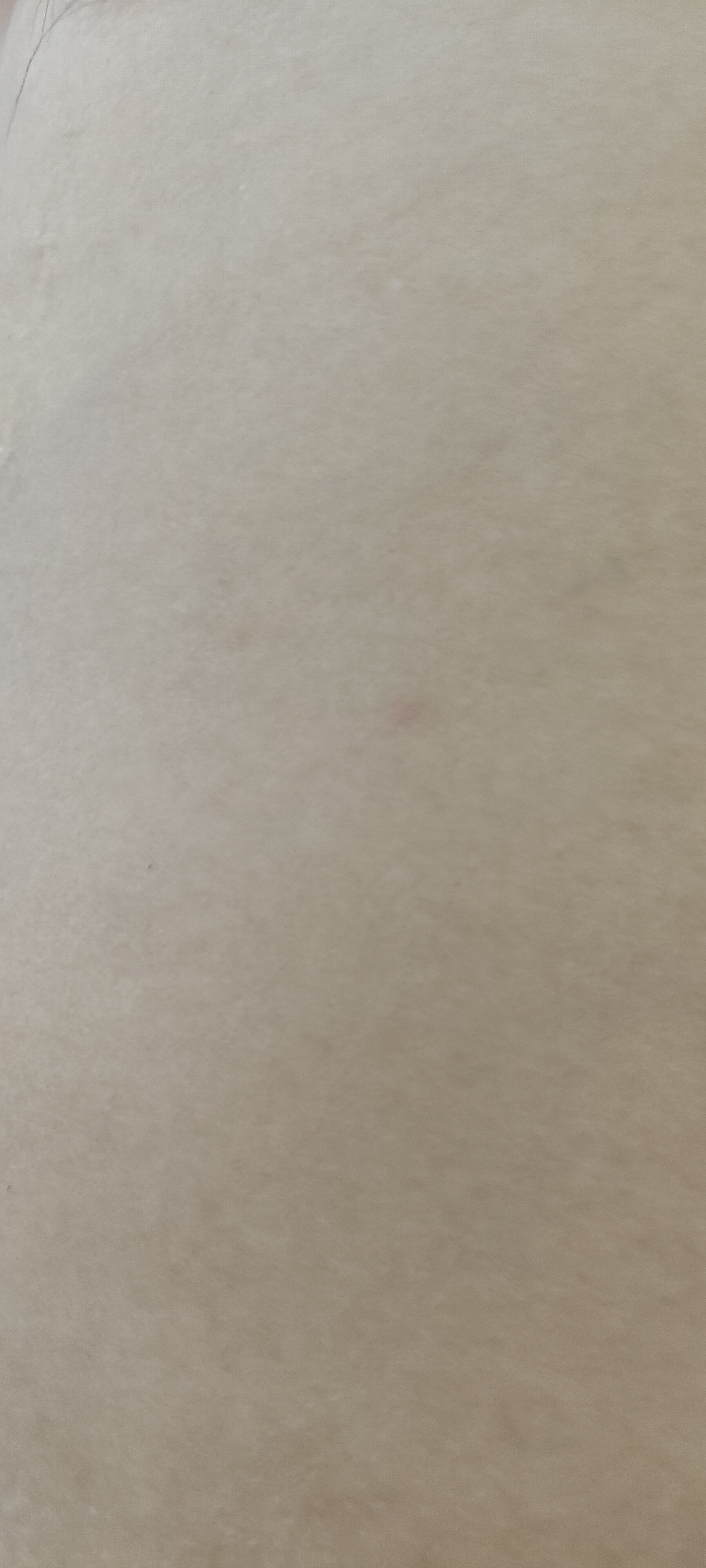 1000040550.jpg