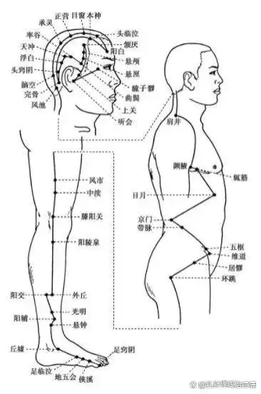 足少阳胆经穴位图