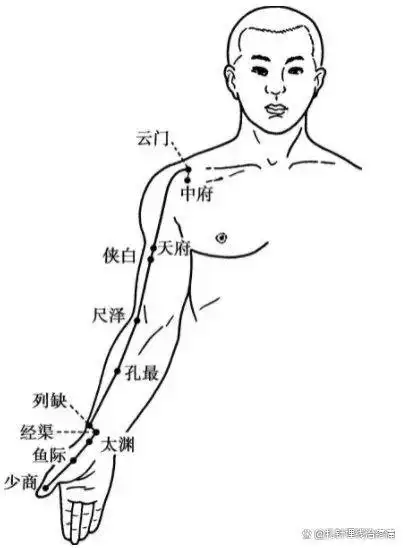 手太阴肺经穴位图