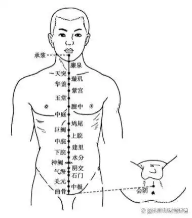 任脉穴位图
