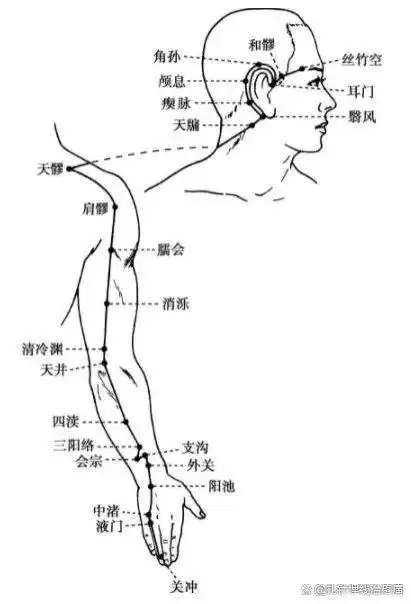 手少阳三焦经穴位图