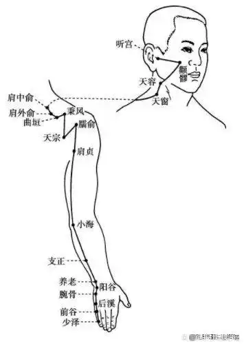 手太阳小肠经穴位图