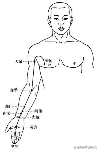 手厥阴心包经穴位图