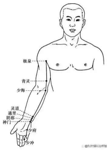 手少阴心经穴位图